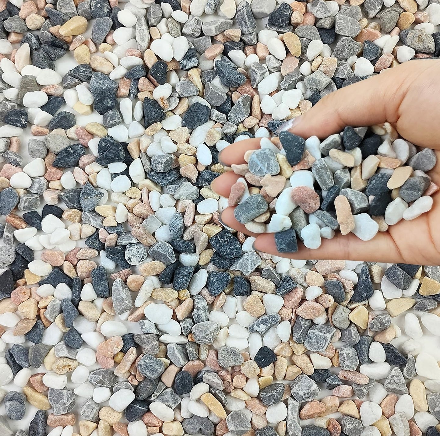 5 lbs Succulent and Cactus Pebbles for Indoor Plants, 3/8 Inch Pea Gravel Decorative River Rocks for Plants, Vases, Terrarium, Aquarium, Potted Top Dressing and Outdoor Landscaping Stones