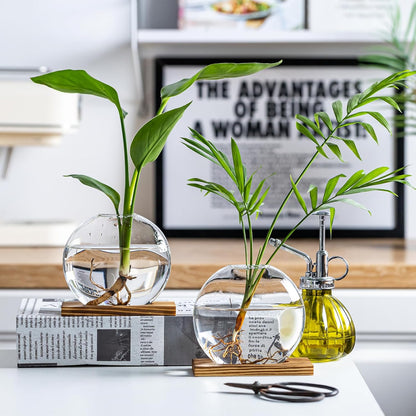 Glass Planter Propagation Station with Wooden Base - Clear Oblate Hydroponic Vase, Decorative Desktop Flower Vase for Home, Office, Windowsill - Gift for Plant Lovers (6)