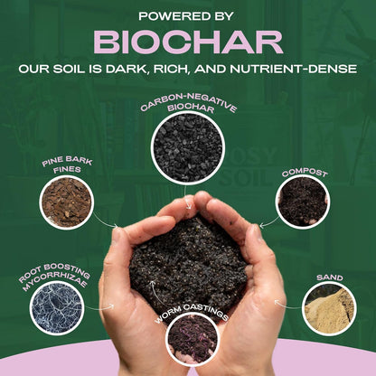 Seedling Seed Starter Soil Mix - Peat-Free Organic Potting Mix for Seeds, Cuttings, Microgreens- Enriched w/Worm Castings, Root-Boosting Biochar, Less Prone to Gnats for Germination & Propagation- 4qt