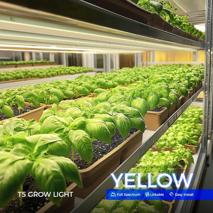 Barrina T5 Grow Lights, Full Spectrum Grow Light, 3ft 128W (8 x 16W, 800W Equivalent), LED Grow Lights for Indoor Plants, Ideal for Indoor Plants, Plant Grow Shelf, Plug and Play, Yellow, 8-Pack