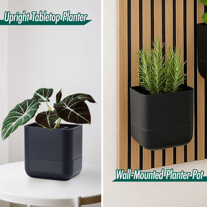 Phoenix Vine 6.5-Inch Wall Mounted Self-Watering Planter Pot for Indoor Houseplants and Herbs | Modern Hanging Planter for Window Sills, Bathroom Walls, Home & Office Décor, Black, Set of 2, 01-WP-B-2