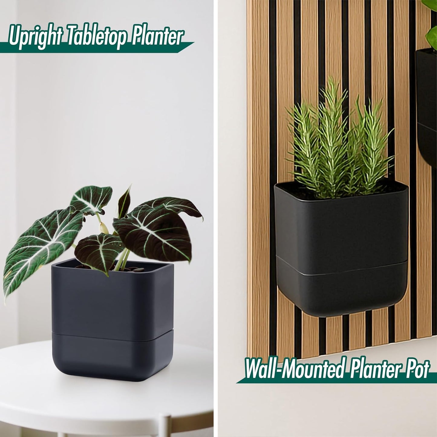 Phoenix Vine 6.5-Inch Wall Mounted Self-Watering Planter Pot for Indoor Houseplants and Herbs | Modern Hanging Planter for Window Sills, Bathroom Walls, Home & Office Décor, Black, Set of 1, 01-WP-B-1
