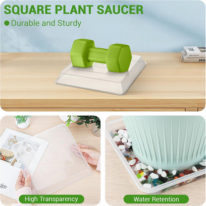GREANER 6 Packs Square Clear Plant Saucer 6 8 10 Inch, Plastic Flower Plant Pot Saucer, Plant Watering Tray for Planter Pots, Flower Plant Drip Trays for Indoor & Outdoor Plants
