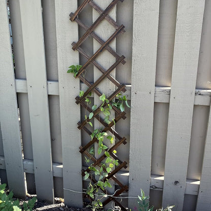 2 Pcs Expandable Garden Trellis, Wooden Lattice Wall Fence Trellis for Climbing Plants Ivy Vine Rose Clematis 13" x 68" for Outdoor Garden Patio Room Decor (2)