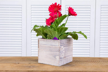 Wooden Planter Box, Rustic Barn Whitewash with Plastic Liner l Garden Decor l Restaurant and Wedding Decorations l Wedding Bouquets, Table Centerpiece (6x6 Set of 2, Whitewash)