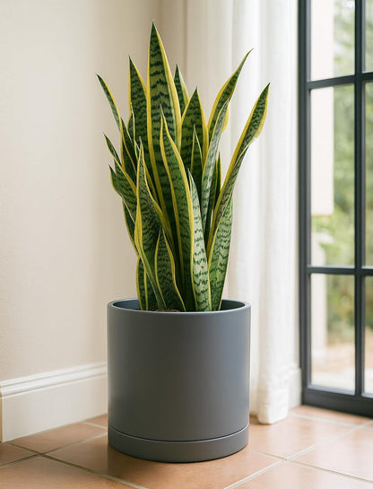 D'vine Dev 12 Inch Ceramic Planter Pot with Drainage Hole and Saucer, Indoor Cylinder Round Planter Pot, Speckled Grey, 94-O-F-3