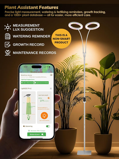GLOWRIUM Grow Lights for Indoor Plants,Plant Light with 3/9/12/16H Grow Light Timer,2-Head 48W Full Spectrum LED Grow Light, 3 Lighting Mode and Stepless Dimming (White, 48W)
