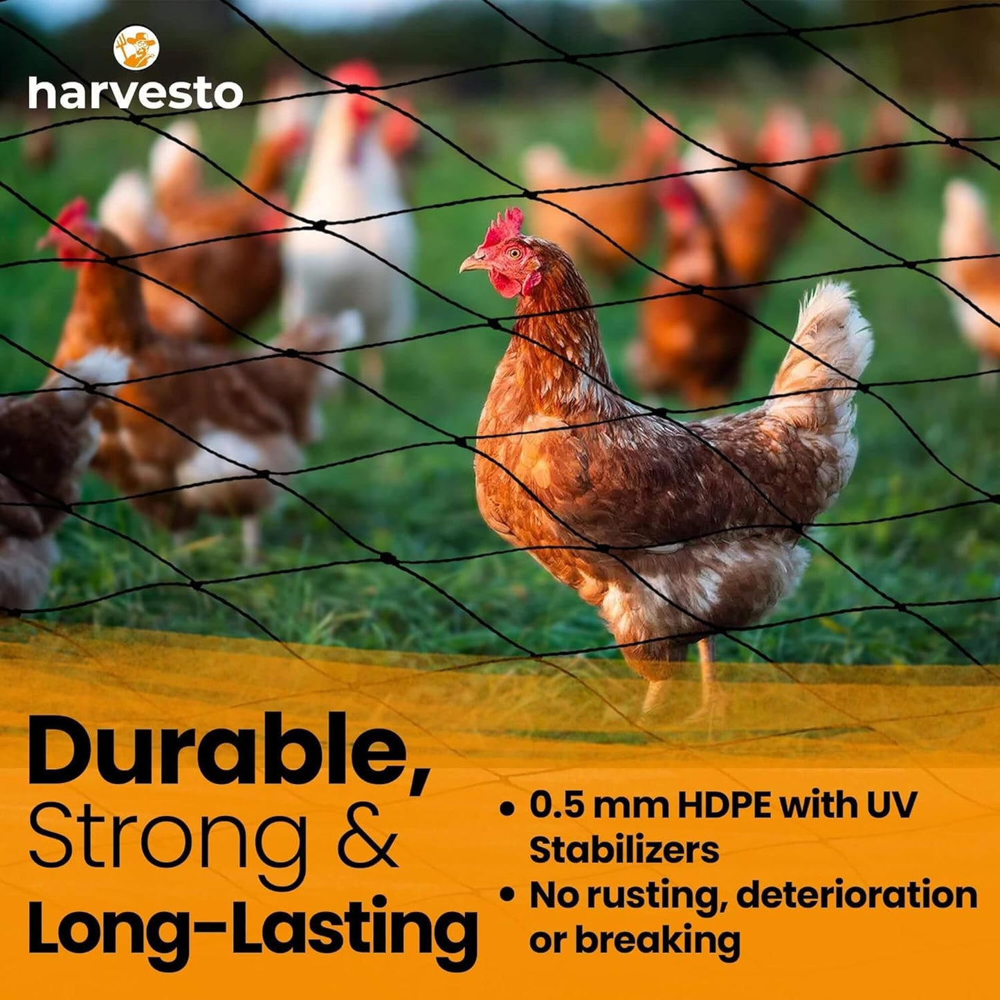 Heavy Duty Bird Netting for Chicken Coops & Runs | Tree & Garden Netting Mesh 1-1/2" | Keep Hawks, Birds & Predators Away | Bird Netting for Blueberry Bushes, Vegetables & Fruit (50' x 100')
