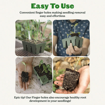 Epic Gardening Reusable Seed Starter Tray - 6 Cell/6 Seedling Starter Trays - Easy Watering, Indoor Greenhouse, Plant Starter, Gardener-Friendly for Seedlings | UV-Treated & BPA-Free - Sage Green