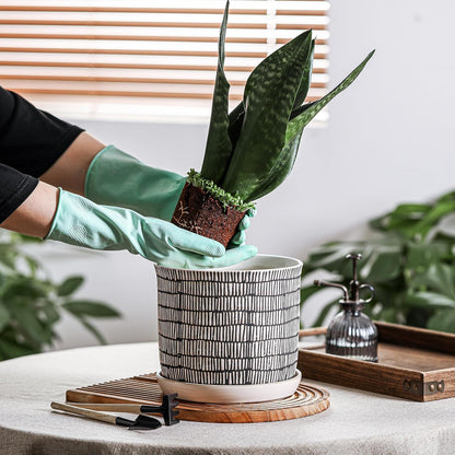 8 Inch Plant Pot: Ceramic Planter with Drainage Hole & Saucer - Cylinder Flowerpot for Indoor & Outdoor Plants - with Separate Tray for Home & Office - Striped Design
