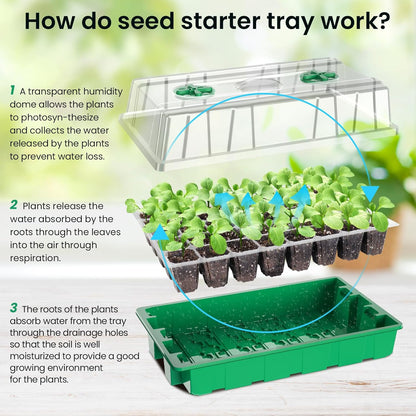 MIXC Seed Starter Tray with Lights, 2 Packs Mini Propagator Plant Grow Kit Greenhouse with Humidity Vented Domes and Base for Seeds Starting, Green