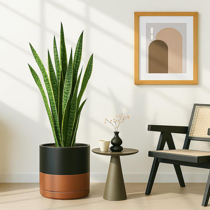 D'vine Dev 12 Inch Ceramic Planter Pot with Drainage Hole and Saucer, Indoor Cylinder Round Planter Pot, Black/Speckled Tan, 94-O-F-7