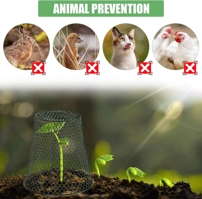 20 Pcs 9×9inch Chicken Wire Plant Covers Wire Garden Cloches Chicken Wire Cloche Plant Protector Metal Heavy Duty Garden Plant Cloche for Keeping Bunnies Chicken Squirrels Birds Other Out