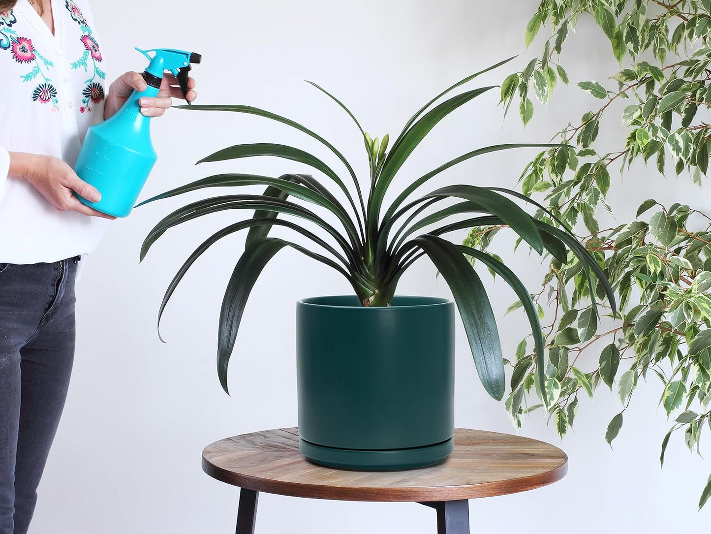 D'vine Dev Set of 2 Plants Pots, 8 Inch Ceramic Planter Pot for Plants with Drainage Hole and Saucer, Teal, 94-V-D-9