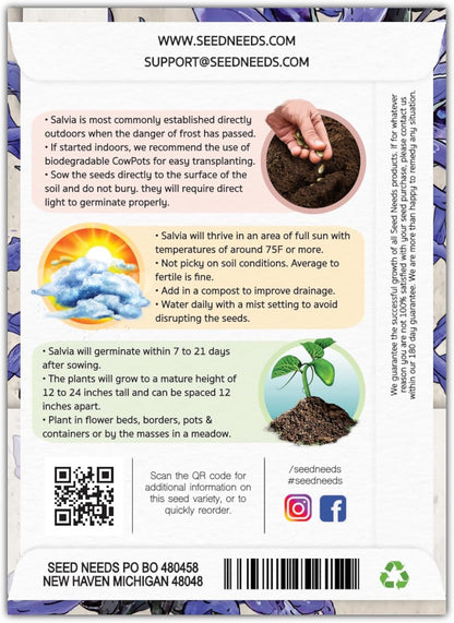 Seed Needs Sapphire Blue Sage Seeds for Planting - Heirloom & Open Pollinated Salvia - Grow a Butterfly Garden with Perennial Flowering Plants (5 Packs)