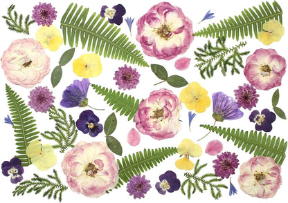 48 Pcs Mix Natural Dried Pressed Flowers for Cake Decorating, Real Dry Flower for Resin Jewelry Making, DIY Art Crafts - Lovely