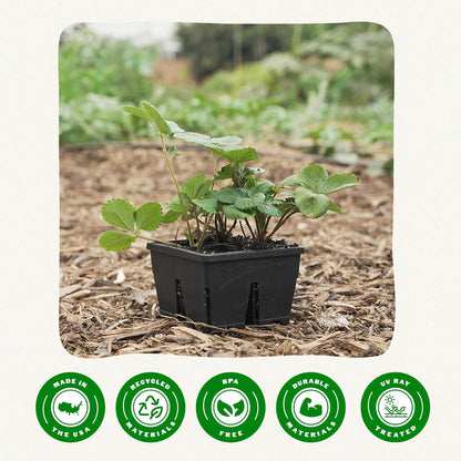 Epic Gardening Reusable Seed Starter Tray - 4 Cell 3"/16 Seedling Starter Trays - Easy Watering, Indoor Greenhouse, Plant Starter, Gardener-Friendly for Seedlings | UV-Treated & BPA-Free - Black