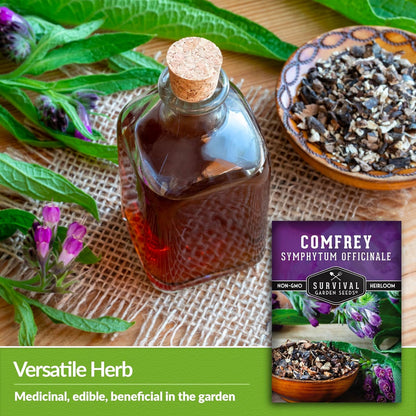 Survival Garden Seeds Comfrey Seed for Planting - 2 Packets with Instructions to Plant and Grow Slippery Root Plants in Your Home Herb Garden - Symphytum officinale - Non-GMO Heirloom Seed Variety