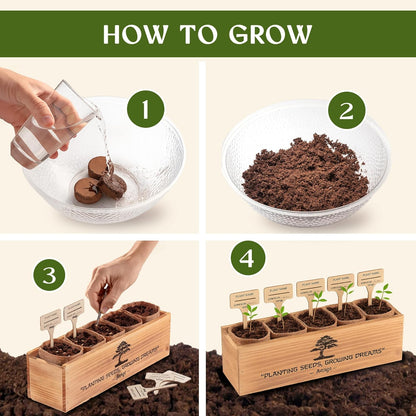 Bonsai Tree Kit for Beginners – 5X Unique Japanese Bonzai Trees | Complete Indoor Starter Kit for Growing Bonsai Plants with Tools & Planters – Gardening Gifts for Women & Men