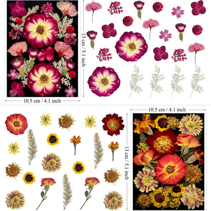 92Pcs Pressed Dried Flowers for Resin, Real Assorted Natural Bulk Dry Floral Leaves for DIY Art Crafts, Epoxy Molds, Jewelry, Soap, Candle Making, Nails Decors