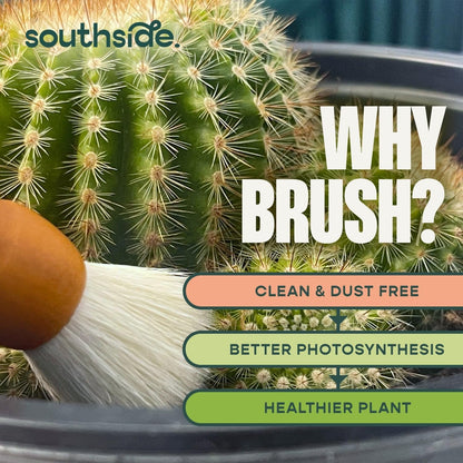Southside Plant Cactus & Succulent Plants Cleaning Brushes - Wooden Handles w/Soft Goat Hair Bristles - Garden Cleaning Tools, Gentle on Plants, 7" & 3.2" Sizes - Pack of 2