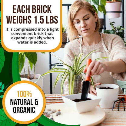 Coco Coir Bricks 5-Pack (650g Each) – Peat-Free Coconut Coir/Peat, Low EC & pH Balanced, High Expansion Seed Starter for Potting Mix, Hydroponics, Mushroom Substrate & Reptile Bedding