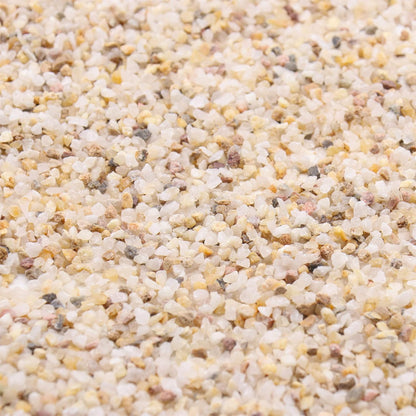 Coarse Sand. Golden Color. 1/8 Inch 10 lbs. for Potting Soil, Succulents, Pots, Plants, Gardening, Indoor, Crafting, Vase Fillers, Landscaping (X-Mini, COARSE Sand - Golden, 10)