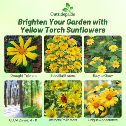 Outsidepride Yellow Torch Mexican Sunflower Seeds - 500 Pcs Annual, Easy-to-Grow, Yellow Tithonia Speciosa Flower Seeds w/Drought-Tolerant Blooms for Pollinator Gardens & Vibrant Summer Landscaping