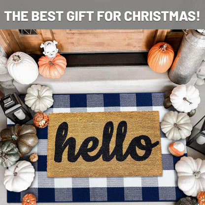 IOHOUZE Buffalo Plaid Checkered Rug 27.5" X 43" Front Door Mats, Washable Area Rugs for Front Porch Decor, Spring Summer Welcome Mats Outdoor, Navy White Rug for Farmhouse/Entryway/Home Entrance