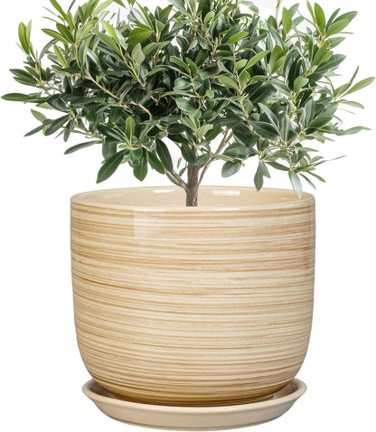 Indoor Plant Pot 8 Inch - Cylinder Modern Ceramic Planter for Indoor Outdoor Plants with Drainage Hole and Saucer, House Office Home Room Desk Decor, Yellow