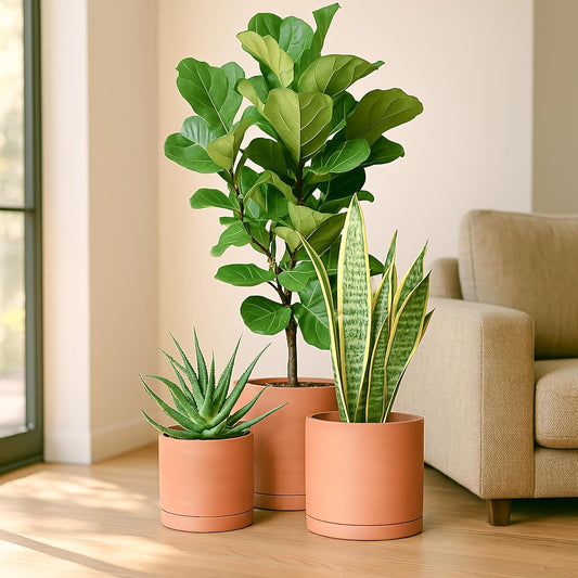 D'vine Dev Terracotta Pots for Plants, 8.3 Inch 10 Inch 12 Inch, Round Cylinder Planter Pot with Drainage and Saucer, 40-T-D-0