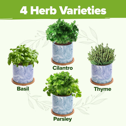 HOME GROWN Indoor Herb Garden Kit w/Glazed Ceramic Pot - Easy-to-Grow Kitchen Window Gardening Starter Set - Unique Housewarming Gift for Women, Mom, Gardeners, Friend, Her, Mother