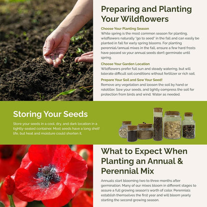 Eden Brothers Poppy Power Flower Mixed Seeds for Planting, 1 lb, 480,000+ Seeds with Red Corn, Iceland, California Poppy | Attracts Pollinators, Plant in Spring or Fall, Zones 3, 4, 5, 6, 7, 8, 9, 10