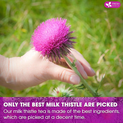 FreshDrinkUS, Premium 30 Milk Thistle Tea Bags, 100% Natural & Pure from Milk Thistle Seeds. Milk Thistle Seed Herbal Tea. Made with Natural Material Tea Bags. No Sugar, No Caffeine, No Gluten, Vegan.