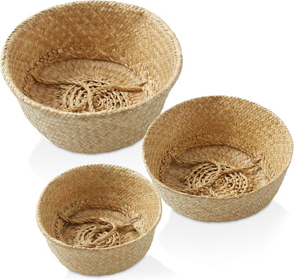 Casafield (Set of 3) Seagrass Belly Storage Basket Planters - Small, Medium, Large, Natural Woven Wicker Indoor Plant Pot Covers for Plants and Trees