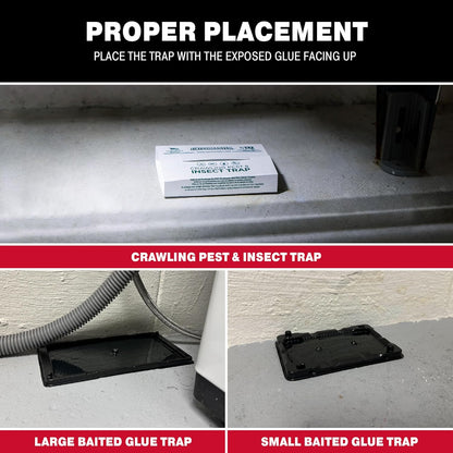 Catchmaster Glue Trap Variety Pack - 2 Mouse Trays, 2 Rat Trays, 4 Insect Glue Traps, Pet Safe Mouse Traps Indoor for Home, Pest Protection Kit for Basement & Garage, Rodent & Insect Pest Control