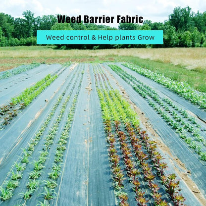 4 Ft x 250 Ft Heavy Duty Weed Barrier Landscape Fabric, 5Oz Professional Grade Weed Barrier Fabric for Gardening, Erosion Control & Construction, Durable Polypropylene Ground Cover