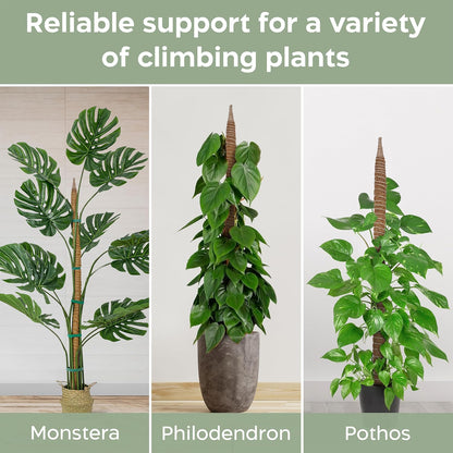 63'' Bendable Moss Pole Monstera Plant Support for Large Climbing Indoor Plants - Stakes for Potted Climbers - Tall Sticks Indoor Trellis for Houseplants - Accessories for Monstera Pot
