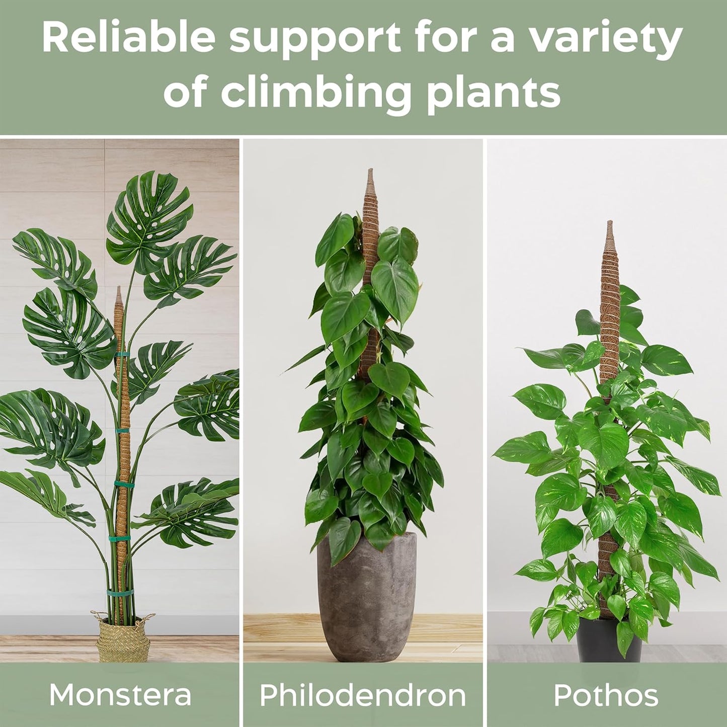2 Pack 63'' Bendable Moss Pole Monstera Plant Support for Large Climbing Indoor Plants - Stakes for Potted Climbers - Tall Sticks Indoor Trellis for Houseplants - Accessories for Monstera Pot