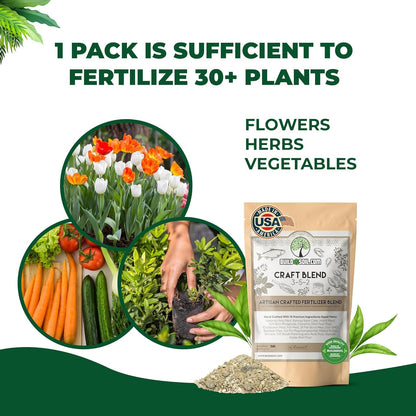 BuildASoil Fertilizer for Vegetable Garden and Ogranic Plant Food | Hand-Crafted Organic Fertilizer with 15 Premium Ingredients | Ensures Larger Plants and More Fragrant Flowers (44 LB - Large Bag)