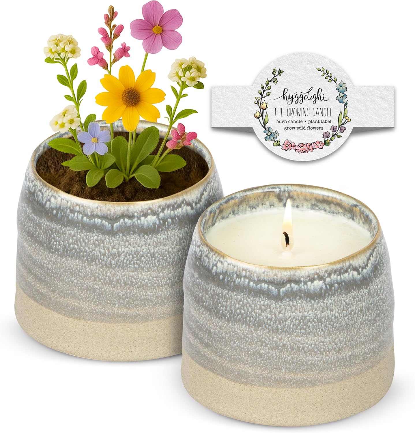 The Growing Candle, Lemongrass Scented, 10oz Ceramic Pot, Single Wick Aromatherapy Candles, 100% Soy for Women and Men, Greta