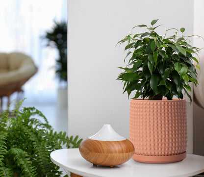 D'vine Dev Set of 2 Ceramic Plants Pots, 6 Inch Beaded Stoneware Flower Pot for Plants with Drainage Hole and Saucer, Terracotta, 27-E-X-7