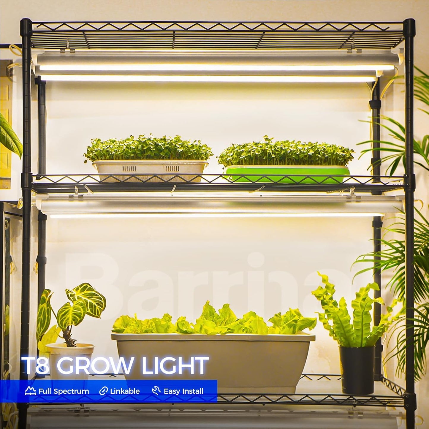 Barrina 3FT T8 Grow Light, 180W(6 x 30W), 1000W Equivalent, Full Spectrum, Plant Light, Growing Lamp Fixture, LED Grow Light Strips, for Indoor Plant, Greenhouse, Linkable Design, Yellow, 6-Pack