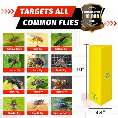 LULUCATCH Sticky Fly Traps, 10 Pack Fly Catcher Fungus Gnat Traps, Hanging Yellow Sticky Traps for Flying Insect Fruit Fly, Non Toxic Odorless Bug Catcher, Pet Safe Pest Control