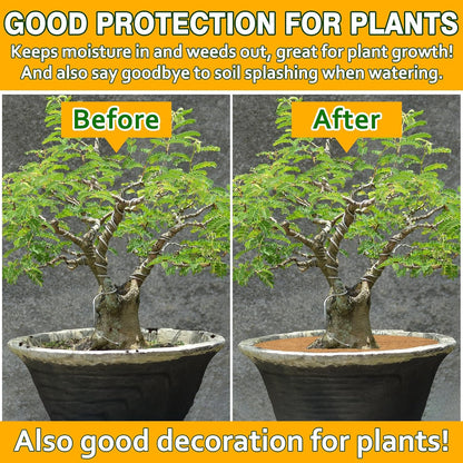 ZeeDix 3 Pack 30 Inch Coconut Fiber Tree Mulch Ring, 100% Natural Coco Coir Tree Ring Mulch Mat, Coconut Coir Discs Plant Cover Tree Protectors Mats Mulch Rings for Landscaping Trees Outdoor Plants