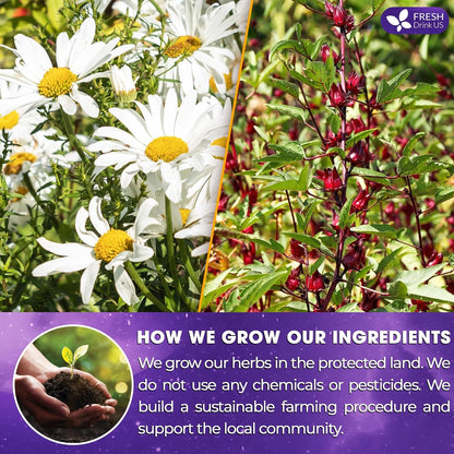 Refreshing Mint Herbal 60 Tea Bags – Special Blend Of Spearmint and Peppermint with Chamomile, and Top Herbal Ingredients for Digestive Comfort & Relaxation, Caffeine-Free, Naturally Sweet, Non GMO