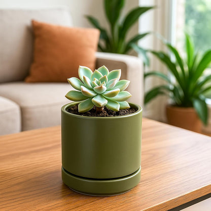 D'vine Dev Set of 4 Small Ceramic Plant Pots, 4.7 Inch Succulent Planter Pot for Plants with Drainage Hole and Saucer, Olive, 94-X-B-0