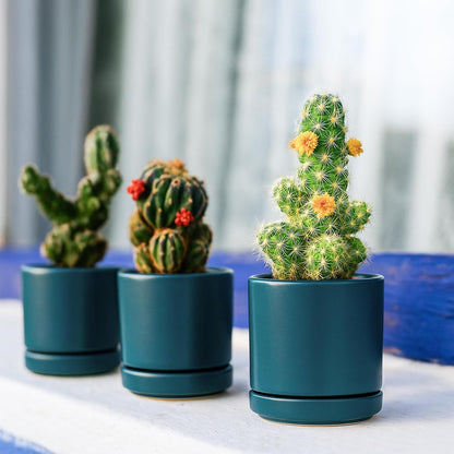 D'vine Dev 3.5 Inch Ceramic Planter Pot with Drainage Hole and Saucer, Indoor Cylinder Round Planter Pot, Teal, 94-O-A-9