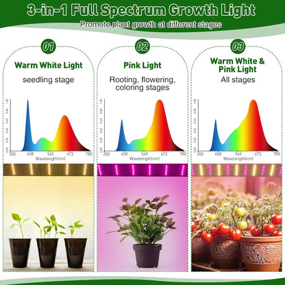 Meonum Mini Greenhouse with Grow Light for Indoor, 23.6 x15.7 x19.6 Tabletop Small Greenhouse Kit with 15W Plant Dimmable LED Grow Lights and Timer, 3 Light Color Mode for Seed Starter Tray