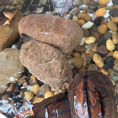 Large River Rocks for Landscaping, 3-4 Inch Mixed Colors Pebbles for Plants and Garden, Premium Rocks for Flower Beds, Indoor Fountains, Paths, Backyards, Fish Tanks(20lbs Bulk)